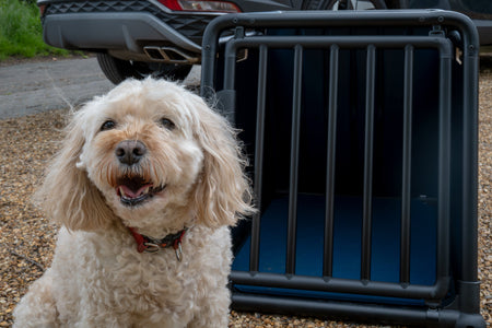 Why a crash-tested dog crate is so important