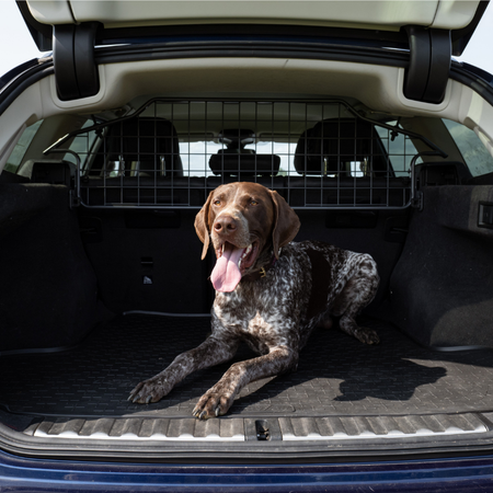 How to Choose the Right Dog Guard for Your Car
