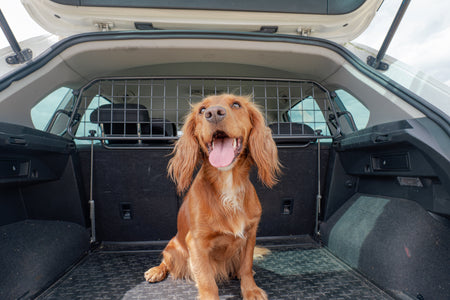 Happy National Love Your Pet Day!