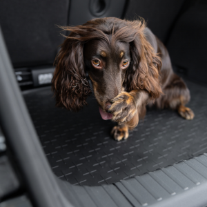 3 easy ways to improve your vehicle's appearance