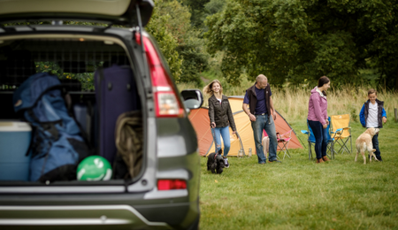 7 tips to keep dogs safe on your outdoor adventures