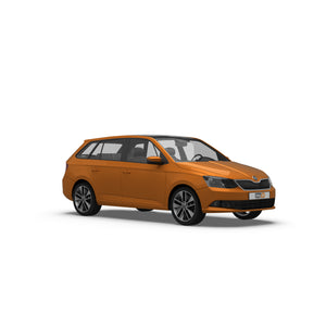 Skoda Fabia Estate (2014-2019) Dog Guards