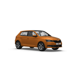 Skoda Fabia Hatchback (2019-2021) Dog Guards