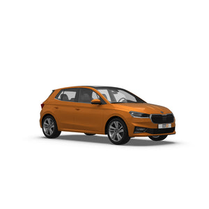 Skoda Fabia Hatchback (2021-) Dog Guards