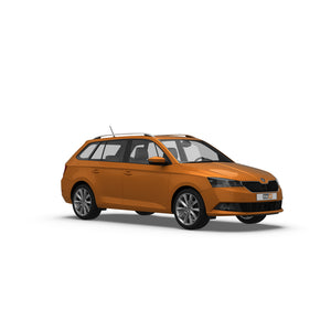 Skoda Fabia Estate (2019-2021) Dog Guards