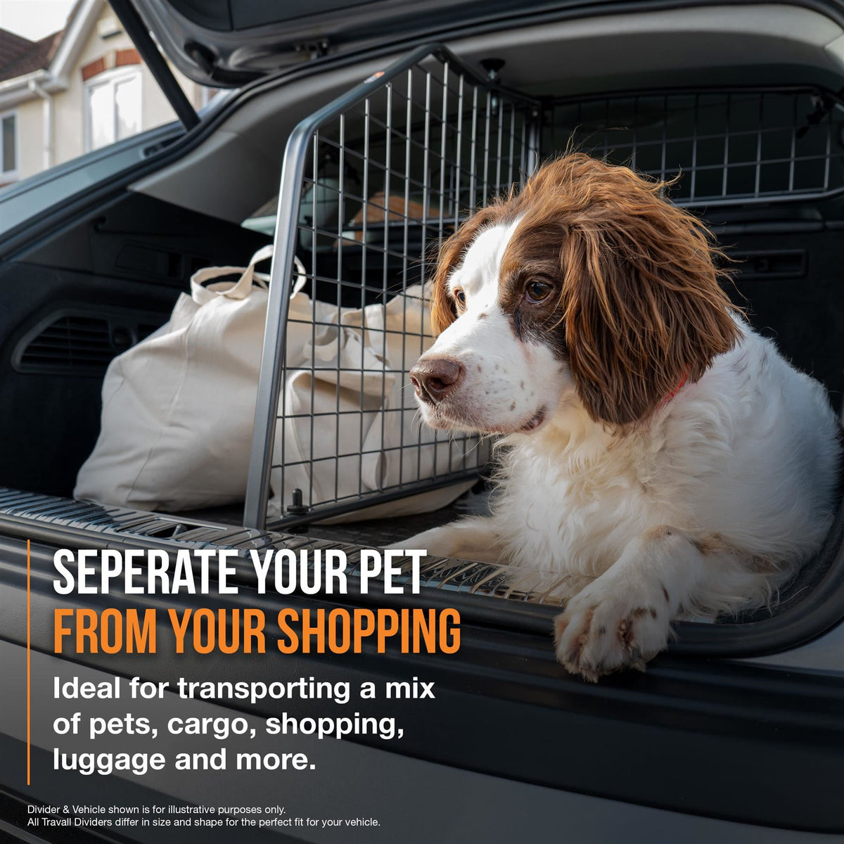 Audi Q2 Dog Guard and Divider Bundle (2016-2020)