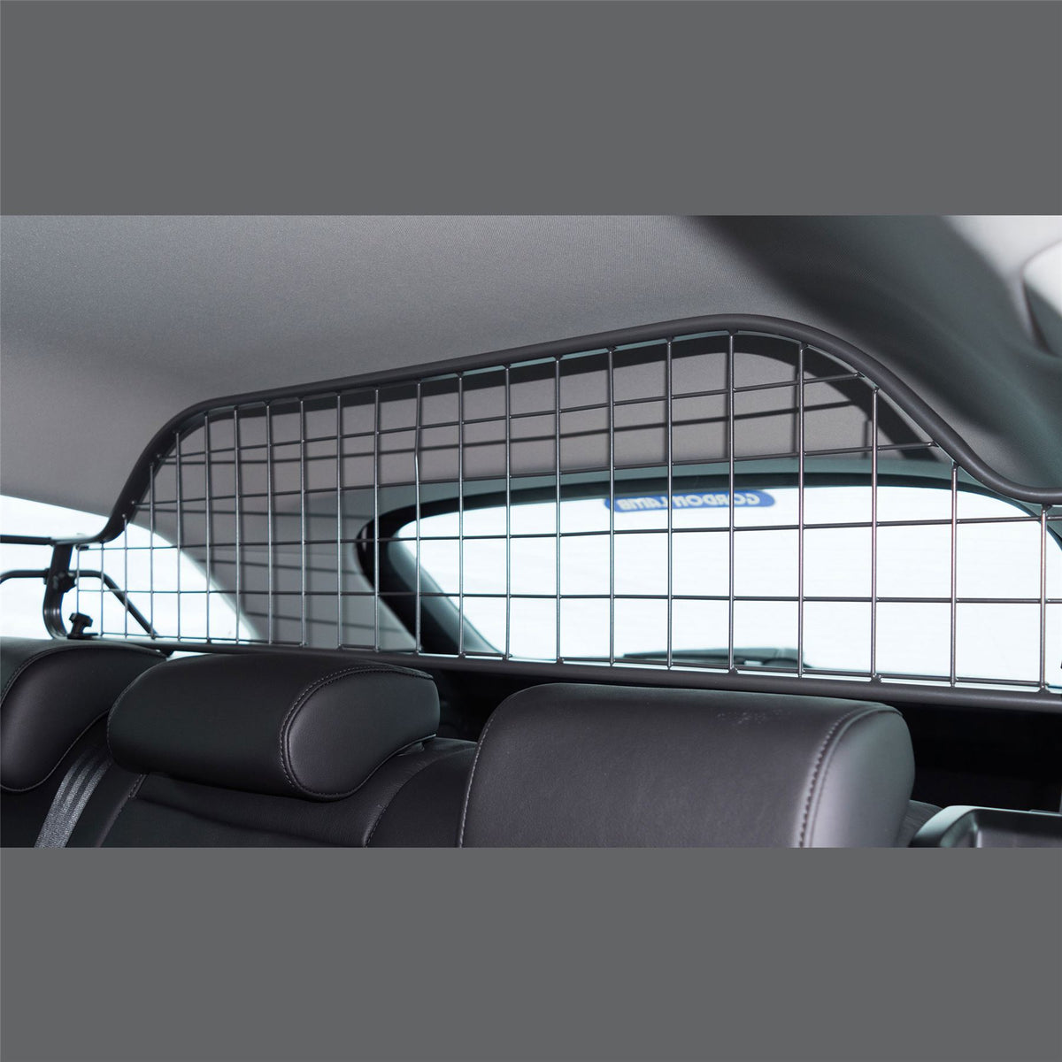 Ford Focus Dog Guard (2005-2010)