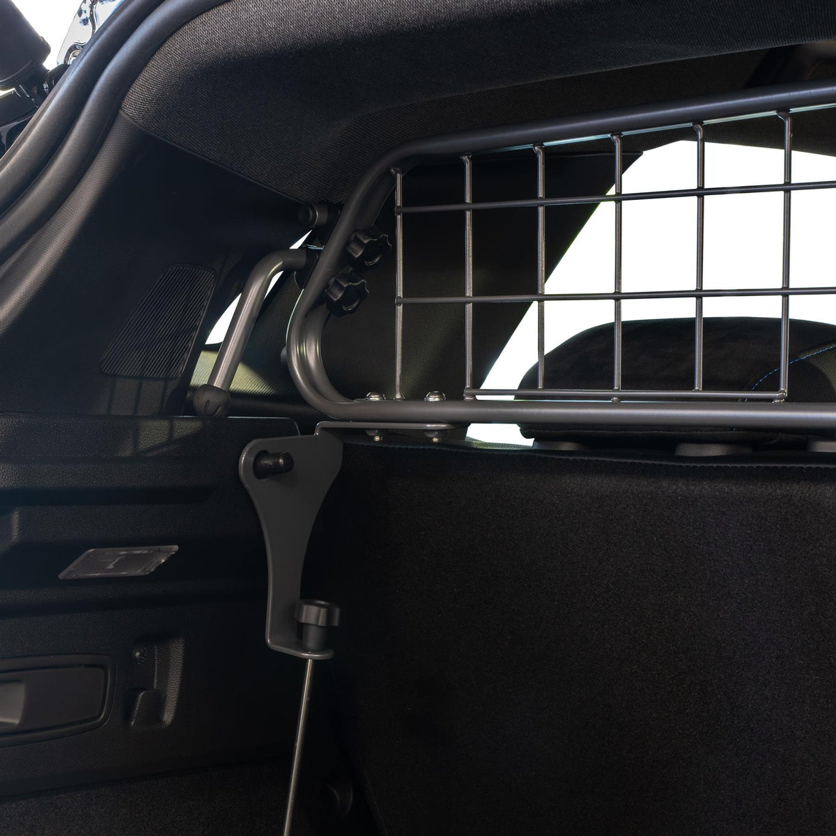 Renault Austral Dog Guard (2022-)