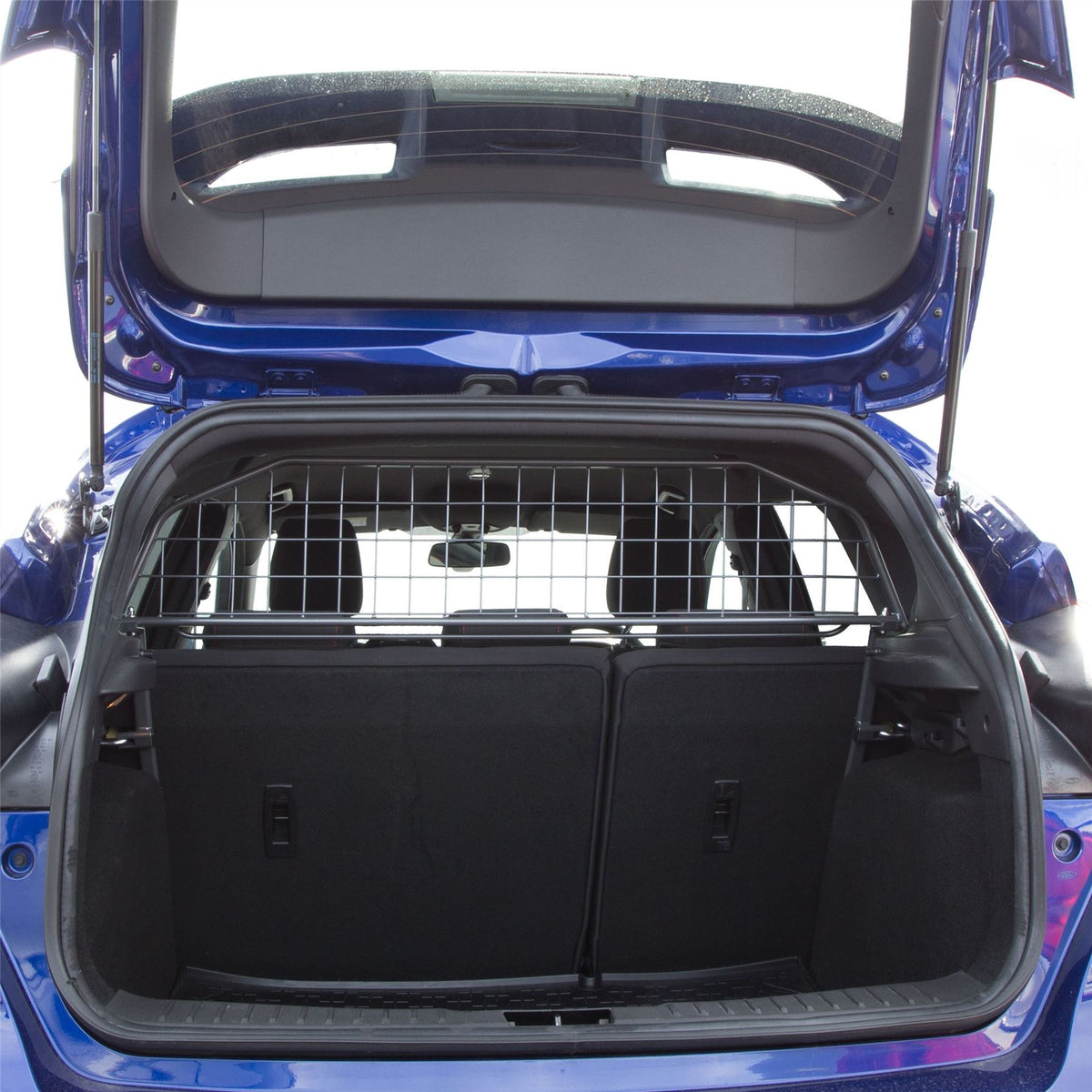 Ford Focus Hatchback Dog Guard (2014-2018)