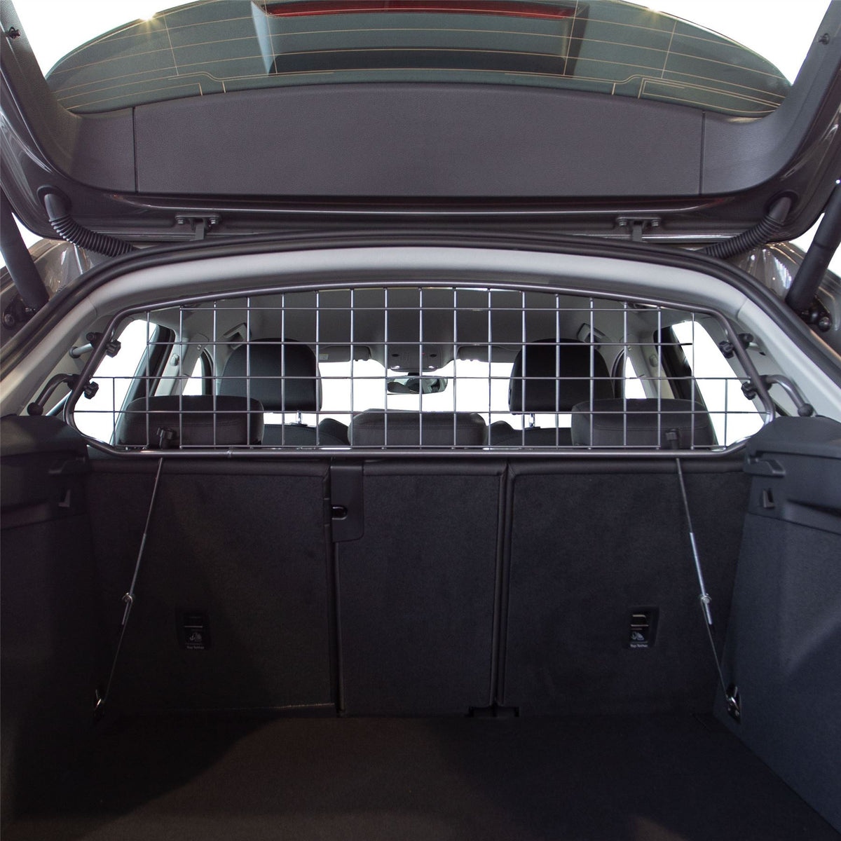 Audi Q3 Dog Guard (2018-on)