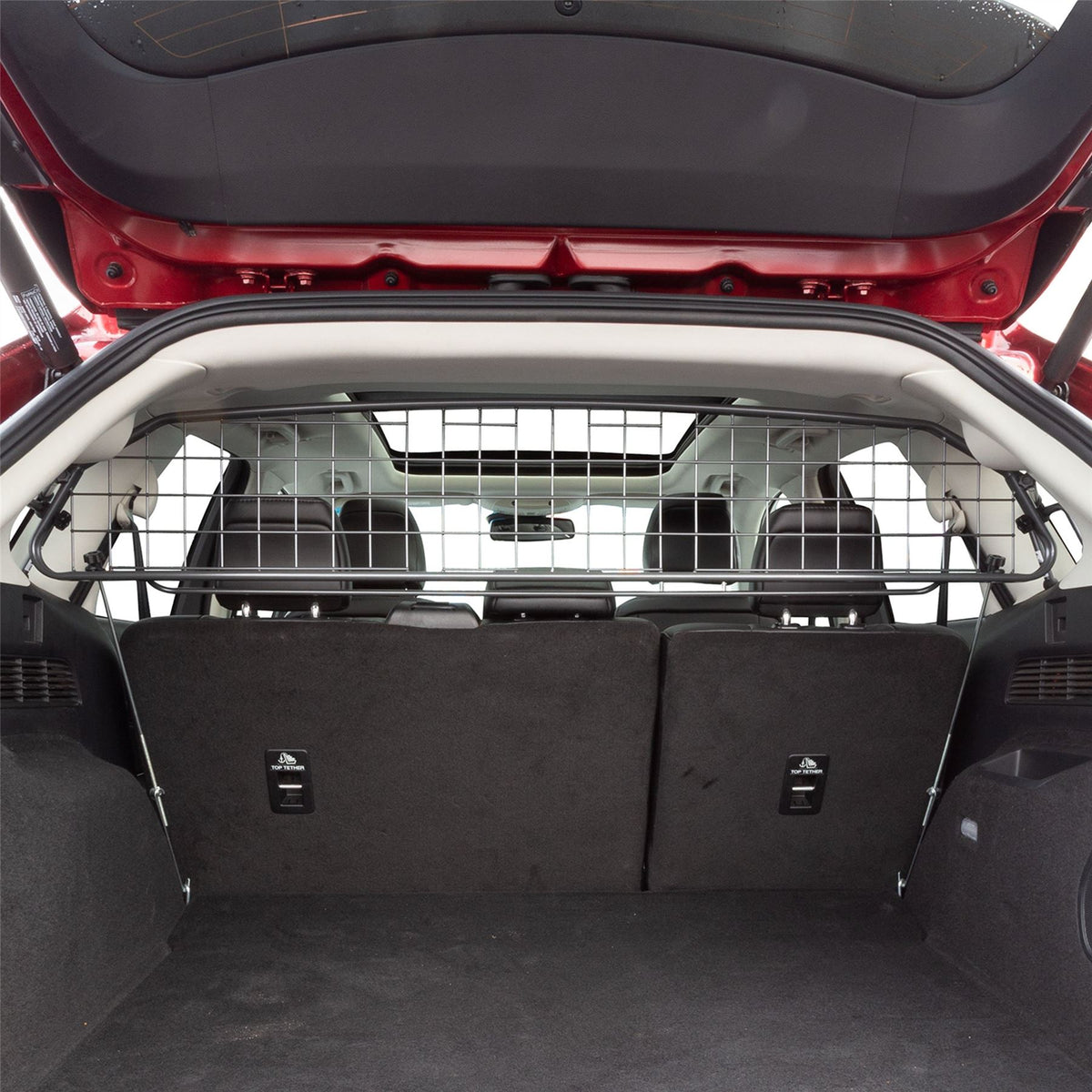 Ford Edge Dog Guard (2015-2019)