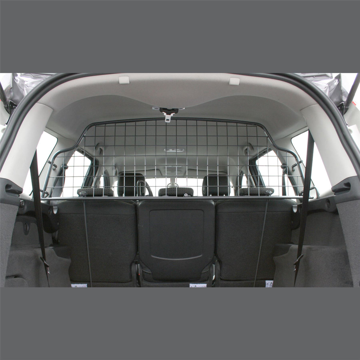 Renault Grand Sc�nic Dog Guard (2009-2016)