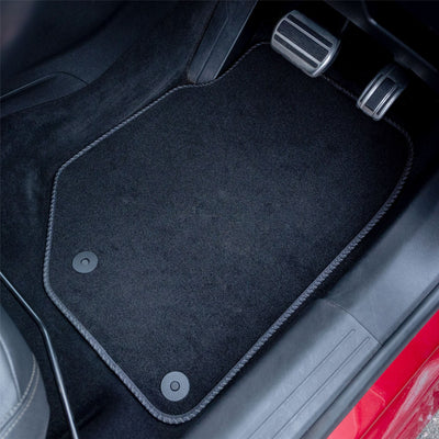BYD Dolphin Carpet Mats (2022-)