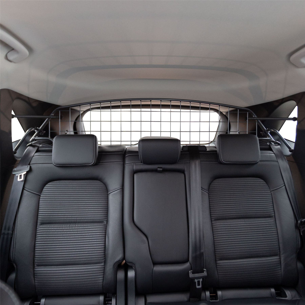 Ford Escape Dog Guard (2019-on)