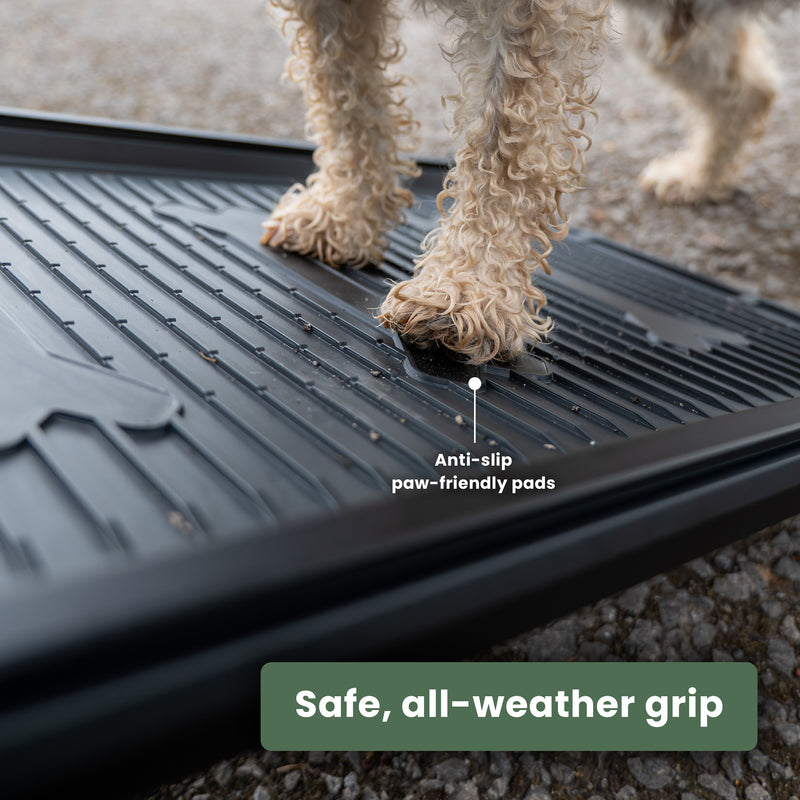 Dog Ramp