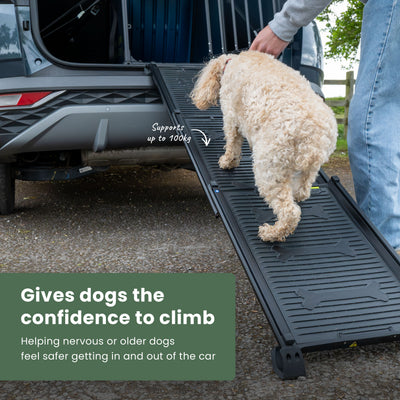 Dog Ramp