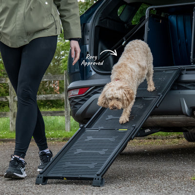 Dog Ramp