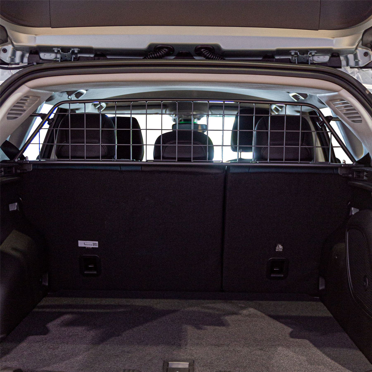 Jeep Compass Dog Guard (2020-on)