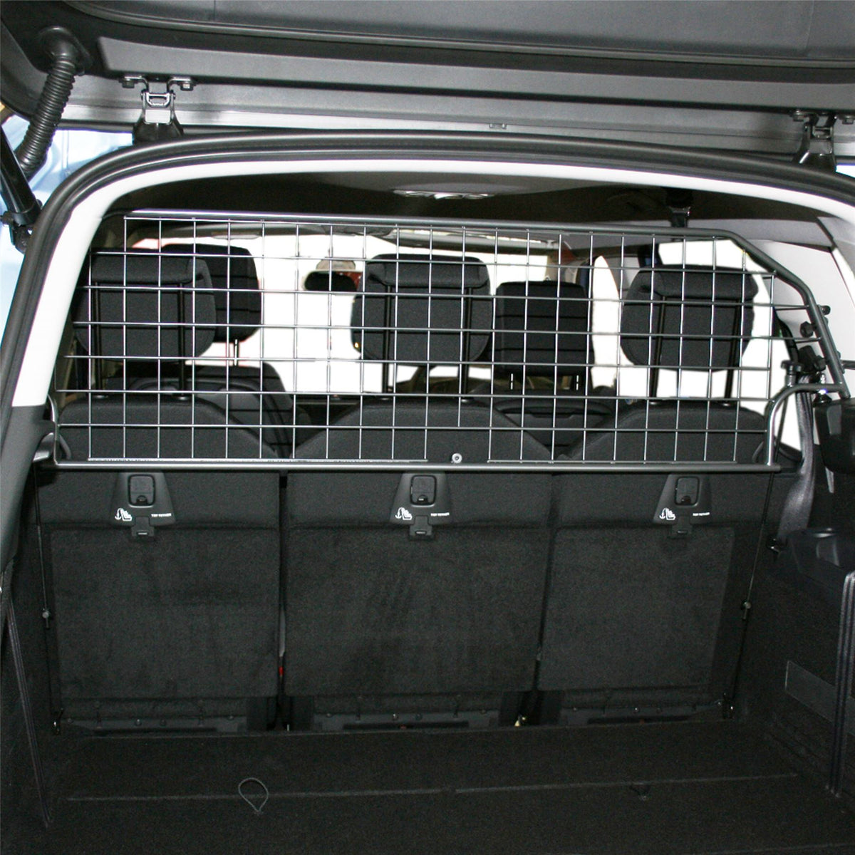 Citroen C4 Spacetourer Dog Guard (2018-2022)